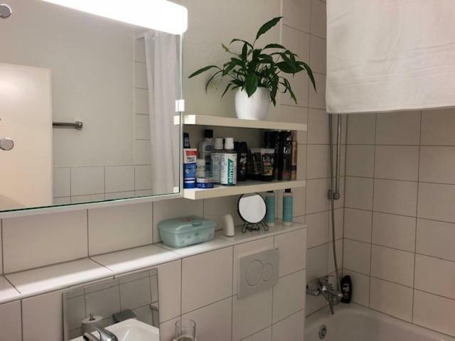 Luxury Black-white Accommodatie bij particulieren Bazel